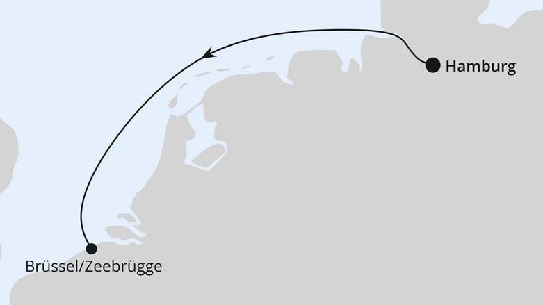 FESTIVAL Cruise