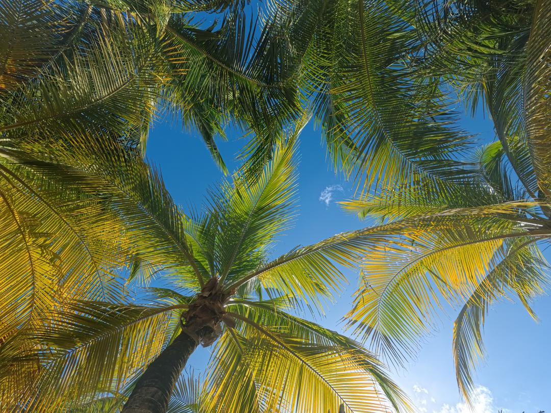 Curaçao
