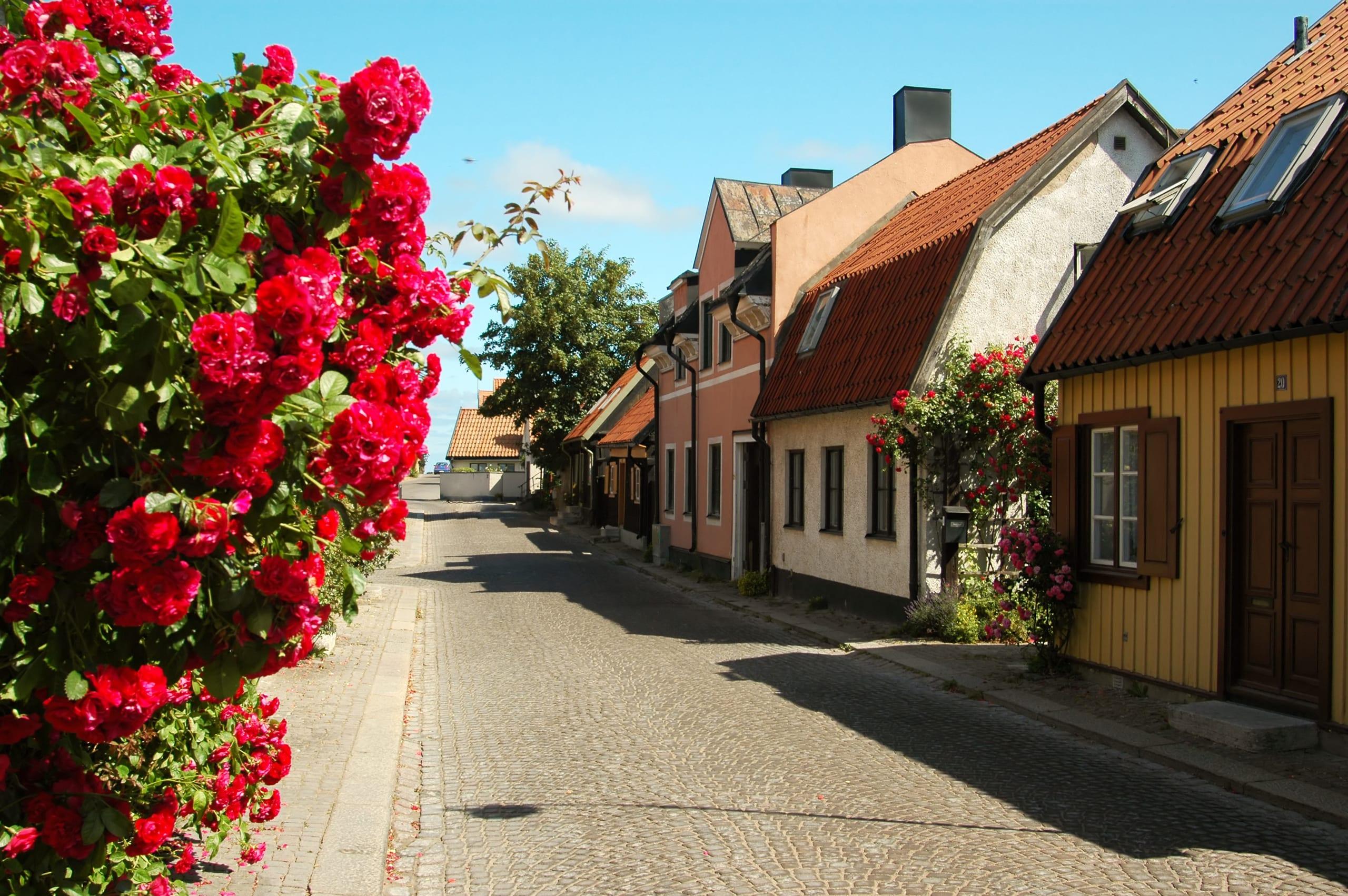 Kleine Gasse in Visby