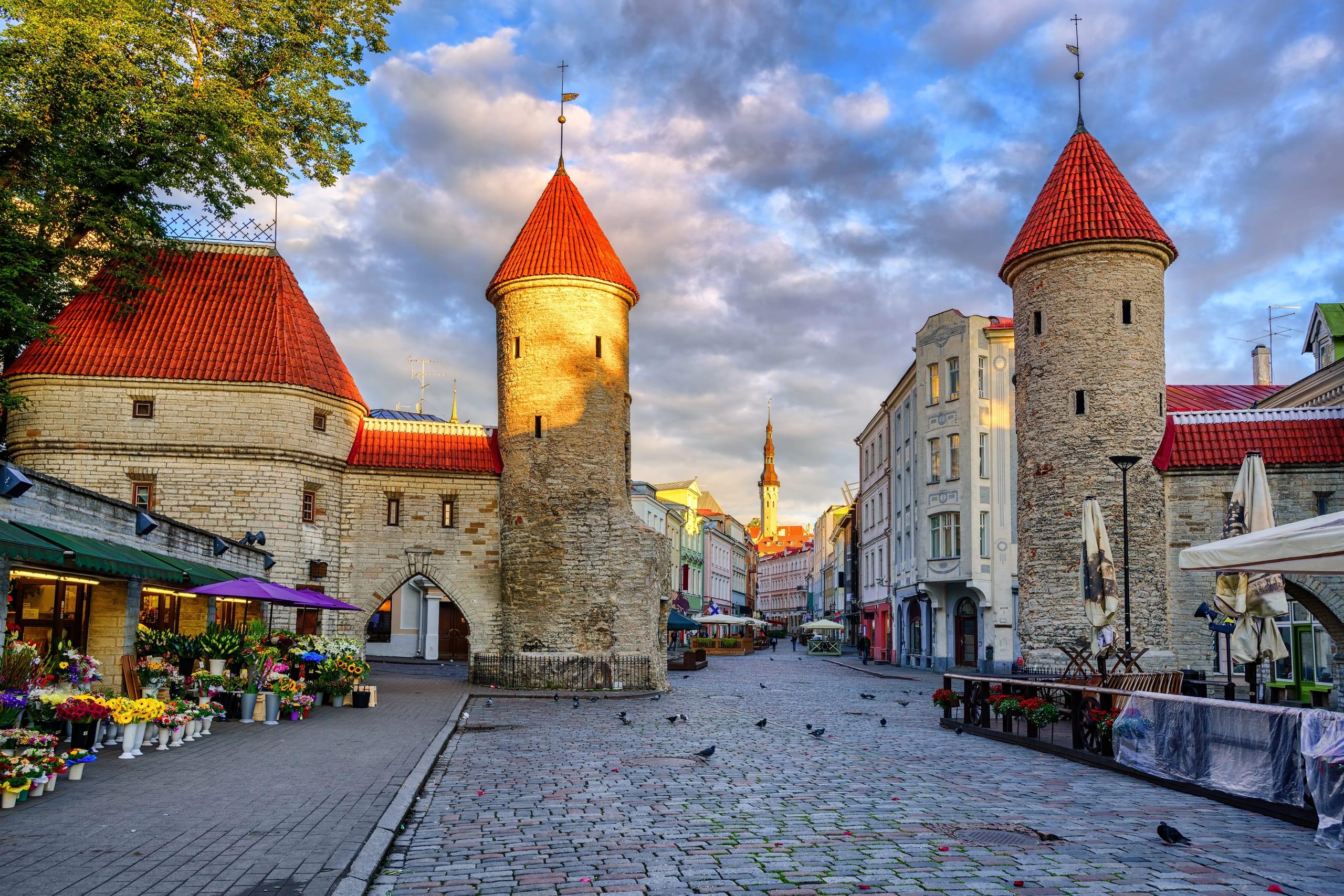 Stadtmauer von Tallinn