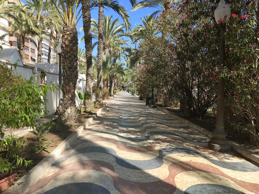 Alicante