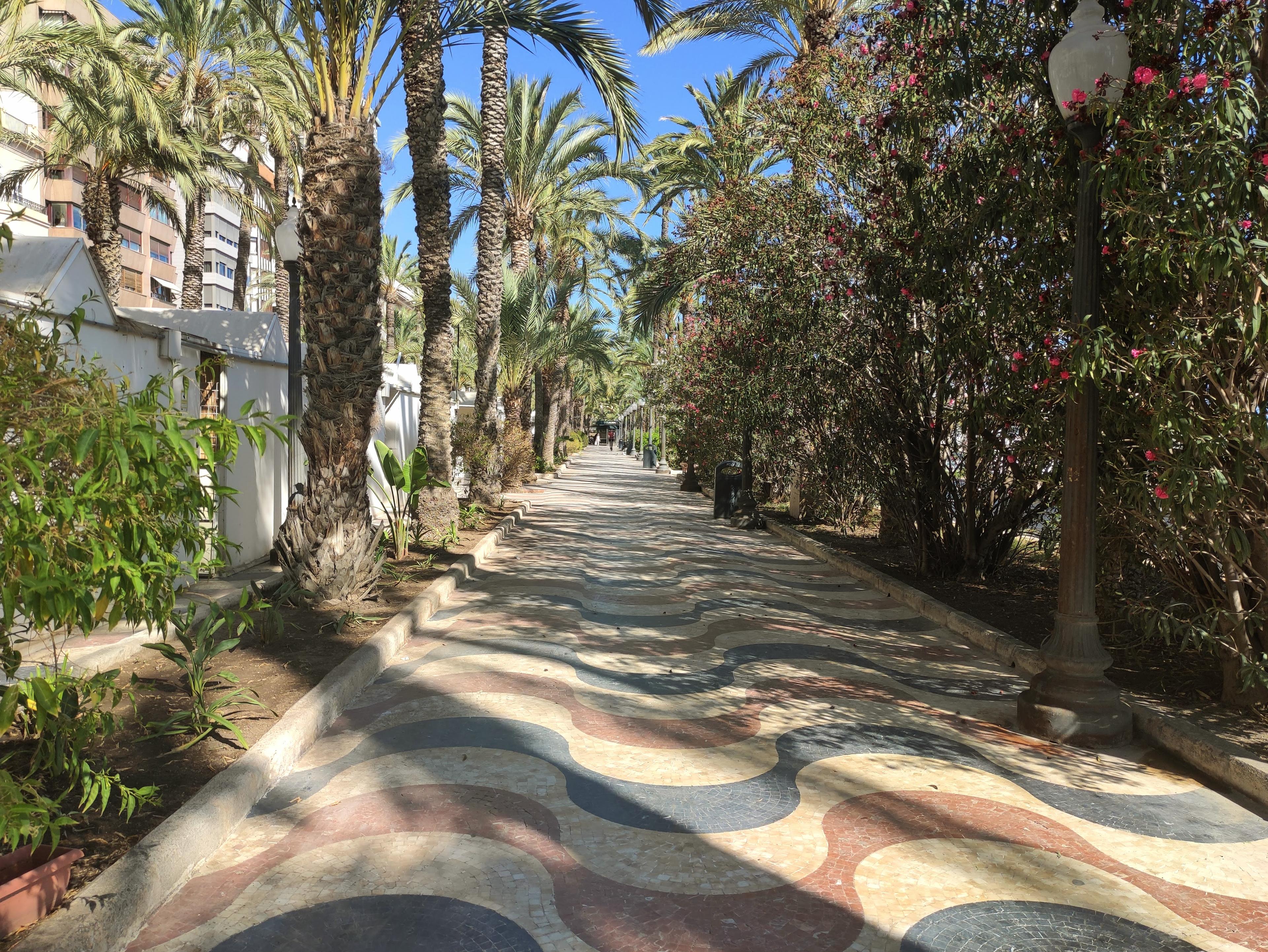 Alicante