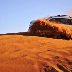 Landausflüge in Dubai.