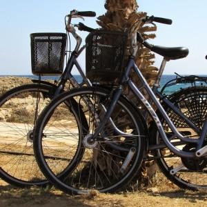 Landausflug in Lissabon: Lissabon mit dem Fahrrad entdecken