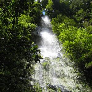 Landausflug auf Madeira