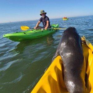 Landausflug in Walvis Bay