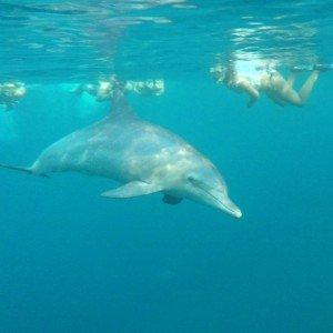 Landausflug in Port Louis (Mauritius)